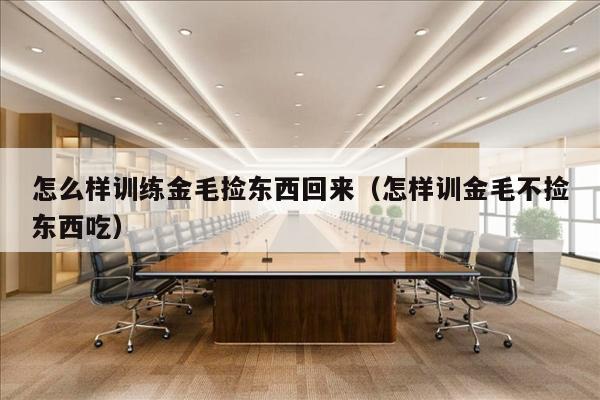 怎么样训练金毛捡东西回来（怎样训金毛不捡东西吃）
