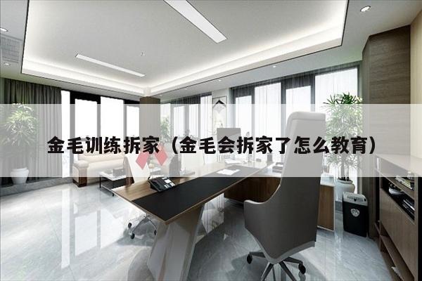 金毛训练拆家（金毛会拆家了怎么教育）