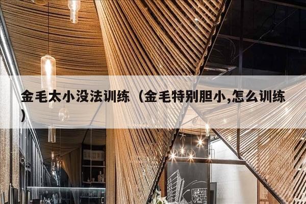 金毛太小没法训练（金毛特别胆小,怎么训练）