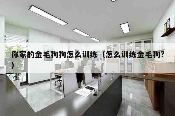 你家的金毛狗狗怎么训练（怎么训练金毛狗?）