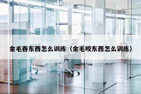 金毛吞东西怎么训练（金毛咬东西怎么训练）