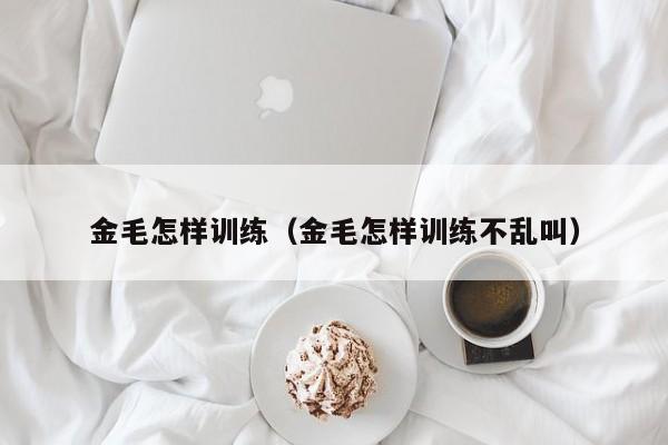 金毛怎样训练（金毛怎样训练不乱叫）