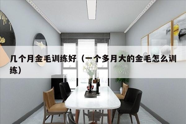 几个月金毛训练好（一个多月大的金毛怎么训练）