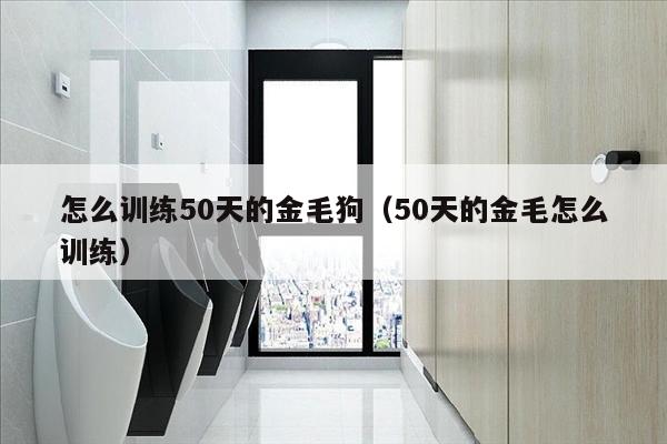 怎么训练50天的金毛狗（50天的金毛怎么训练）