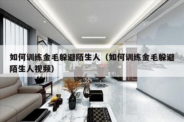 如何训练金毛躲避陌生人（如何训练金毛躲避陌生人视频）