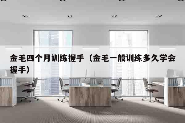 金毛四个月训练握手（金毛一般训练多久学会握手）