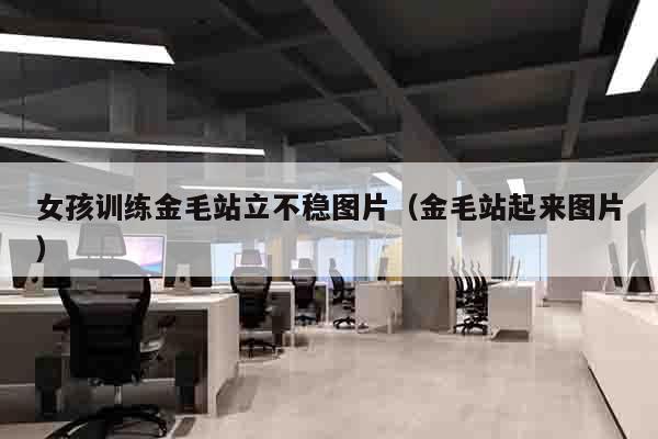 女孩训练金毛站立不稳图片（金毛站起来图片）