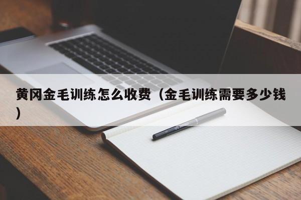 黄冈金毛训练怎么收费（金毛训练需要多少钱）