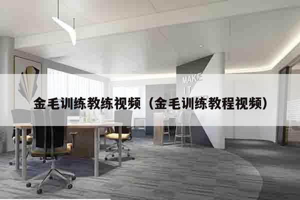 金毛训练教练视频（金毛训练教程视频）