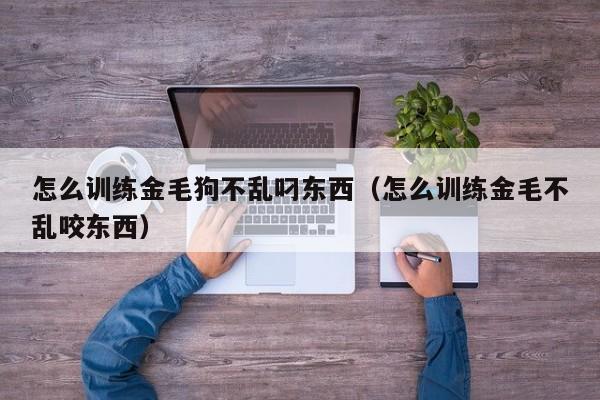怎么训练金毛狗不乱叼东西（怎么训练金毛不乱咬东西）