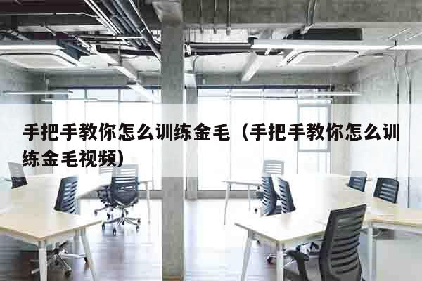 手把手教你怎么训练金毛（手把手教你怎么训练金毛视频）