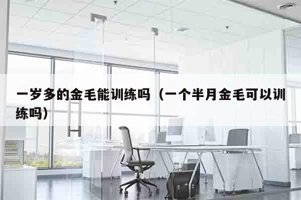 一岁多的金毛能训练吗（一个半月金毛可以训练吗）