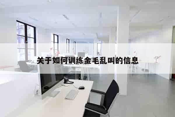 关于如何训练金毛乱叫的信息