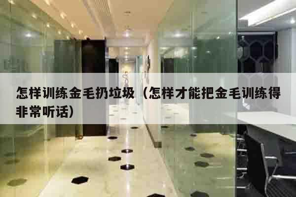 怎样训练金毛扔垃圾（怎样才能把金毛训练得非常听话）