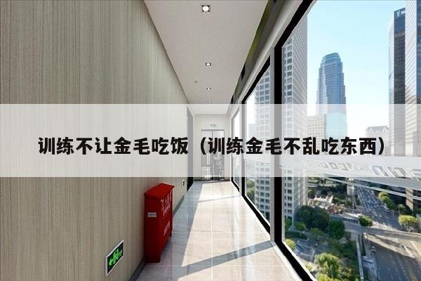训练不让金毛吃饭（训练金毛不乱吃东西）