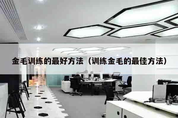 金毛训练的最好方法（训练金毛的最佳方法）