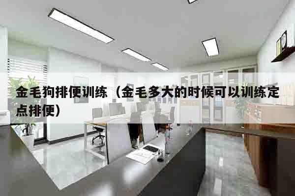 金毛狗排便训练（金毛多大的时候可以训练定点排便）