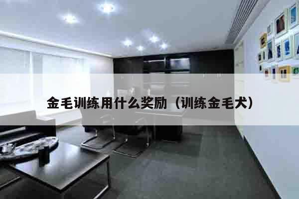 金毛训练用什么奖励（训练金毛犬）