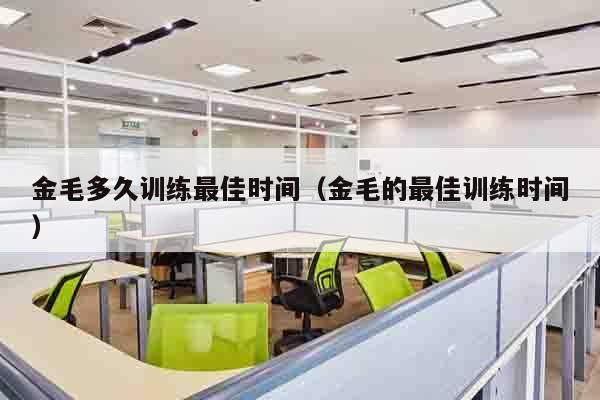 金毛多久训练最佳时间（金毛的最佳训练时间）