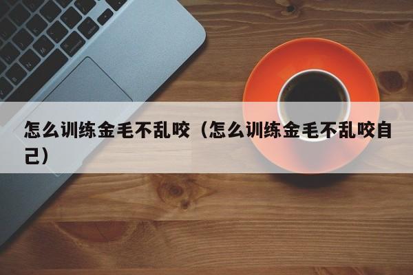 怎么训练金毛不乱咬（怎么训练金毛不乱咬自己）