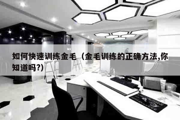 如何快速训练金毛（金毛训练的正确方法,你知道吗?）