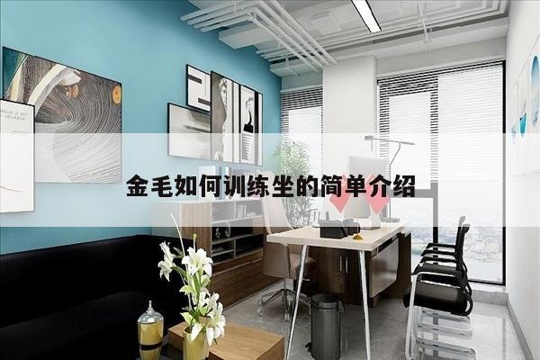 金毛如何训练坐的简单介绍