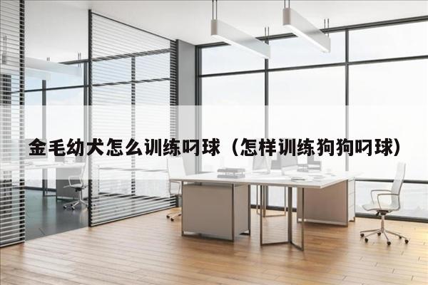 金毛幼犬怎么训练叼球（怎样训练狗狗叼球）