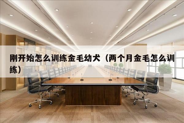 刚开始怎么训练金毛幼犬（两个月金毛怎么训练）