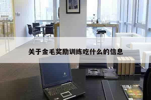 关于金毛奖励训练吃什么的信息
