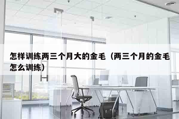 怎样训练两三个月大的金毛（两三个月的金毛怎么训练）