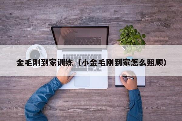金毛刚到家训练（小金毛刚到家怎么照顾）