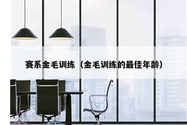 赛系金毛训练（金毛训练的最佳年龄）