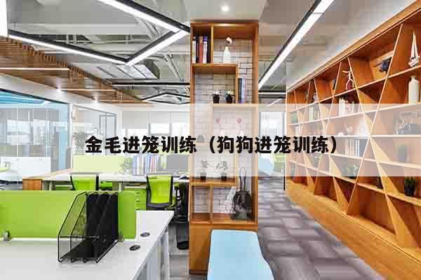 金毛进笼训练（狗狗进笼训练）