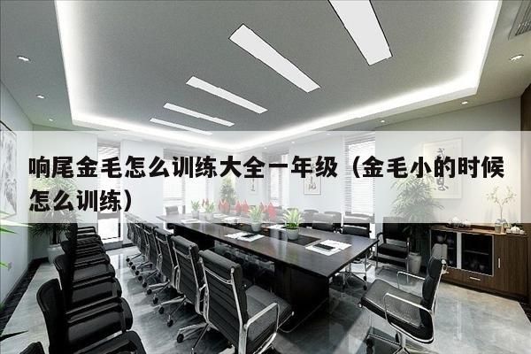 响尾金毛怎么训练大全一年级（金毛小的时候怎么训练）