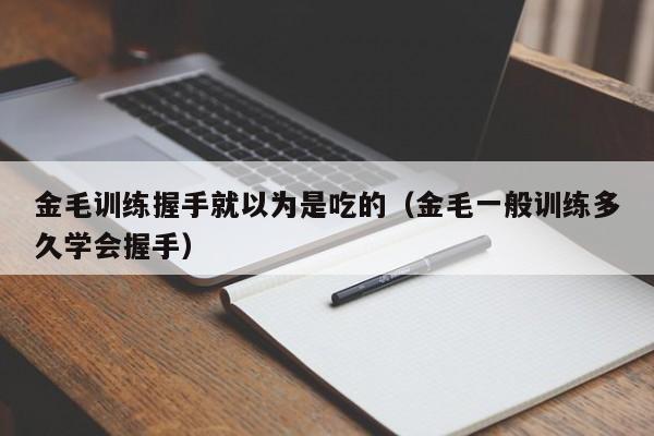 金毛训练握手就以为是吃的（金毛一般训练多久学会握手）