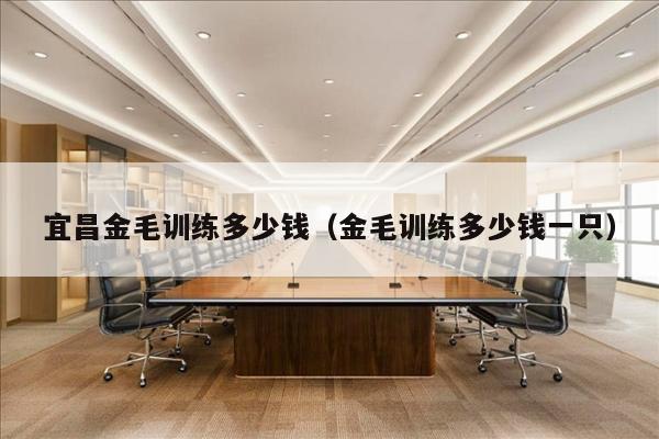 宜昌金毛训练多少钱（金毛训练多少钱一只）