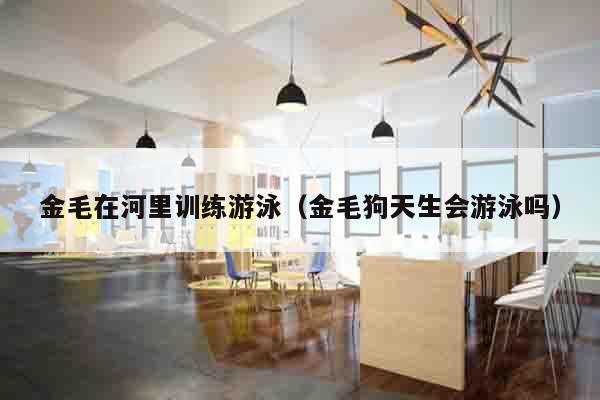金毛在河里训练游泳（金毛狗天生会游泳吗）