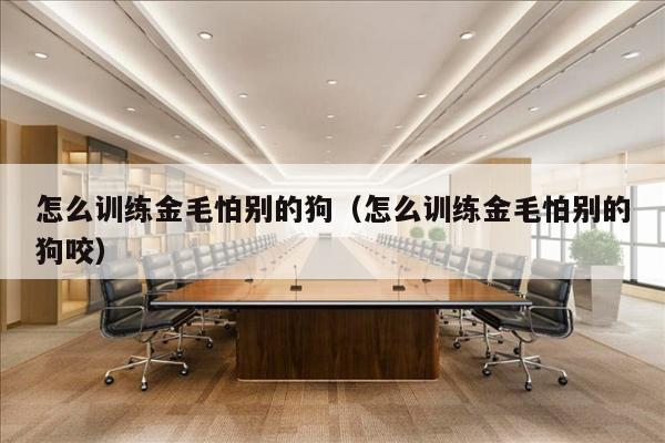 怎么训练金毛怕别的狗（怎么训练金毛怕别的狗咬）