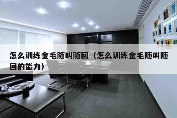 怎么训练金毛随叫随回（怎么训练金毛随叫随回的能力）