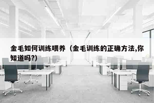 金毛如何训练喂养（金毛训练的正确方法,你知道吗?）