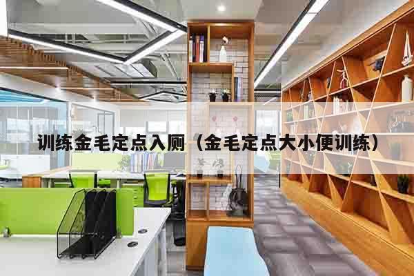 训练金毛定点入厕（金毛定点大小便训练）