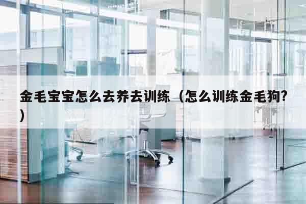 金毛宝宝怎么去养去训练（怎么训练金毛狗?）