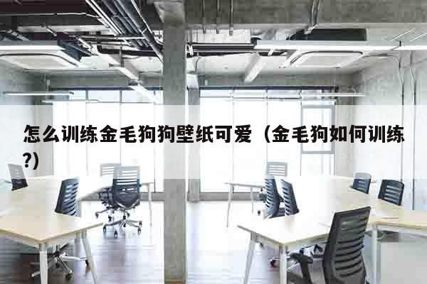 怎么训练金毛狗狗壁纸可爱（金毛狗如何训练?）