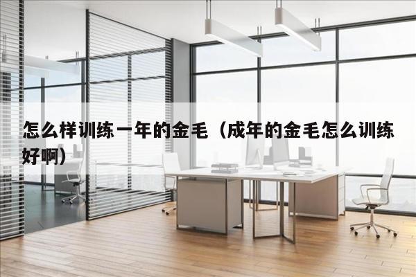怎么样训练一年的金毛（成年的金毛怎么训练好啊）