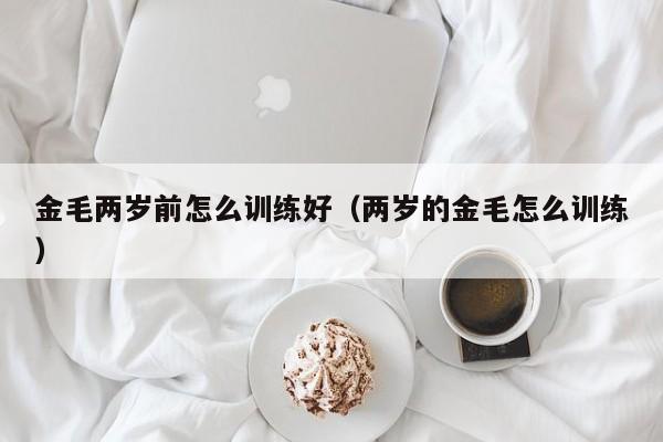 金毛两岁前怎么训练好（两岁的金毛怎么训练）