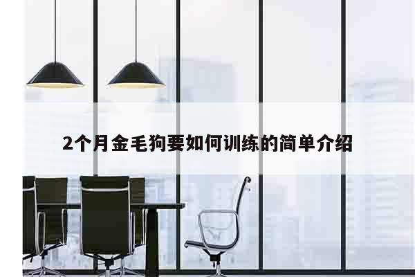 2个月金毛狗要如何训练的简单介绍