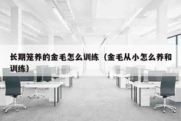 长期笼养的金毛怎么训练（金毛从小怎么养和训练）