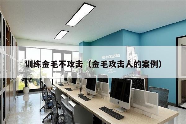 训练金毛不攻击（金毛攻击人的案例）