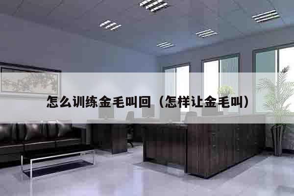 怎么训练金毛叫回（怎样让金毛叫）
