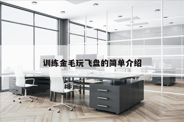训练金毛玩飞盘的简单介绍